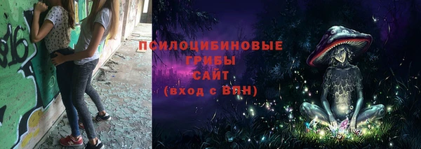 герыч Алексин